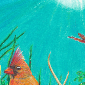 Summer Cardinal Bookmark