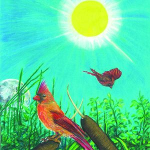 Summer Cardinals Card