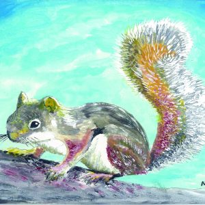 Squirrel Card