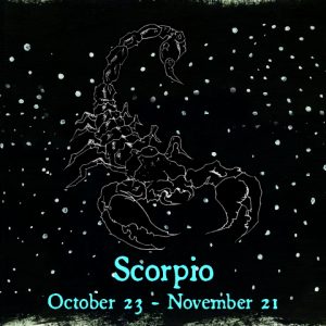 Scorpio - Zodiac Series