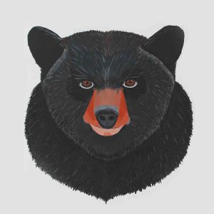 Papa Bear Gift Package ($285)