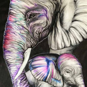 Elephants Card