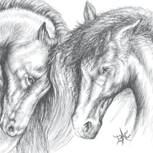 Two Horses Card
