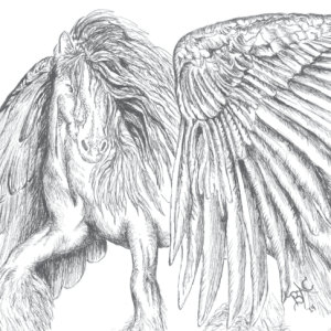 Pegasus Card