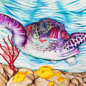 Turtle and Fish Card