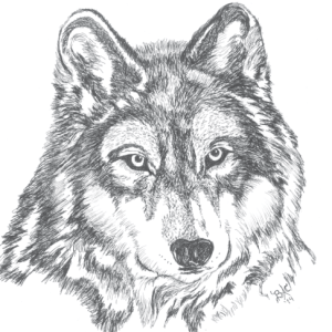 Wolf Card